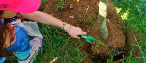 Μαθήτρια του δημοτικού, μέλος του Ομίλου Περιβάλλοντος των Εκπαιδευτηρίων Ε. Μαντουλίδη, με ροζ καπέλο, κρατόντας ένα μικρό πράσσινο φτιάρι, φυτεύει ένα μικρό δένδρο