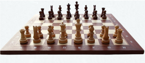 Διακρίσεις στο σκάκι για δύο μαθητές λυκείου