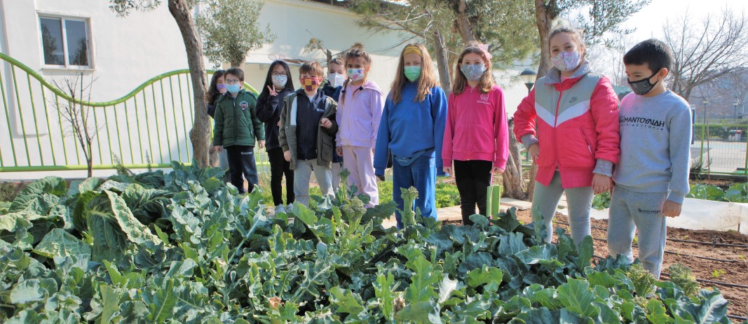 Στο πλαίσιο του προγράμματος «Stream Steps» οι μαθητές της Β΄ Δημοτικού επισκέφτηκαν τον σχολικό λαχανόκηπο.